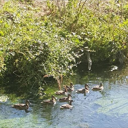 Les Gites De Ninon Moult Zewnętrze zdjęcie